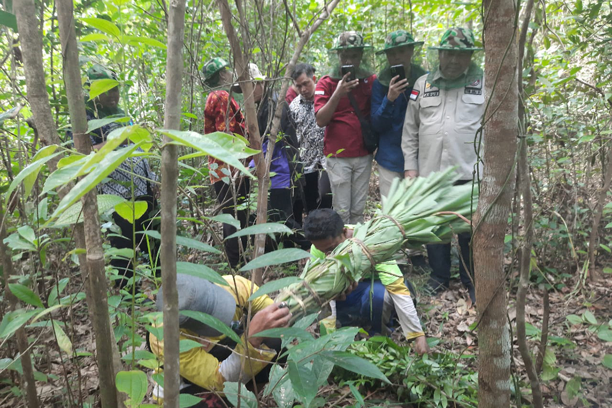 Kopi Robusta Lahat Resmi Bersertifikat Indikasi Geografis, Petani Siap Menuju Kesejahteraan