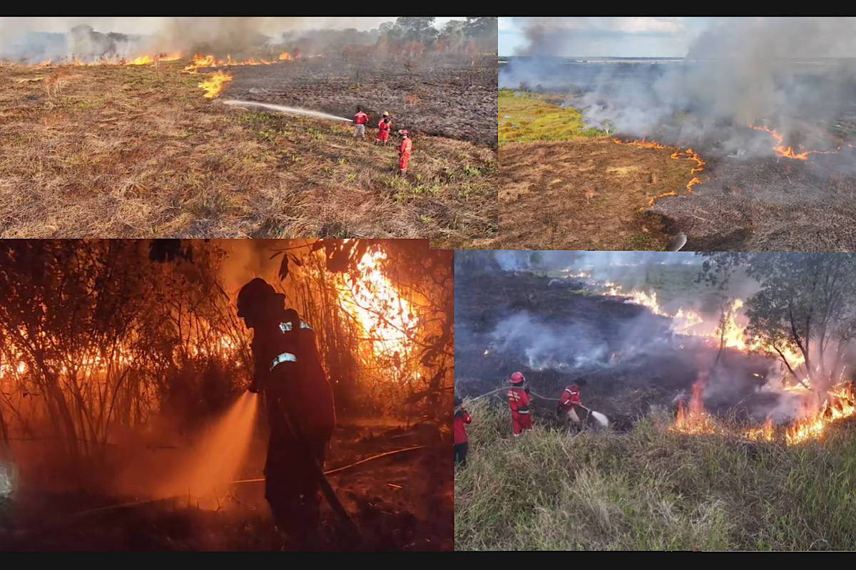 Lagi, Api Melahap Kawasan Lahan dan Hutan Palem Raya Ogan Ilir