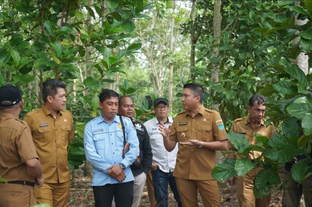 Bupati Ogan Ilir Apresiasi Petani Kopi dan Kakao di Payaraman, Berhasil Kembangkan Potensi Pertanian Baru