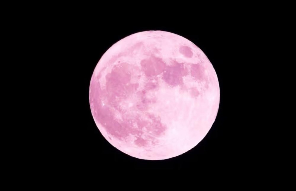 Mengapa Bulan Purnama 1 April 2026 Disebut Pink Moon? Yuk Cek Fakta dan Mitos