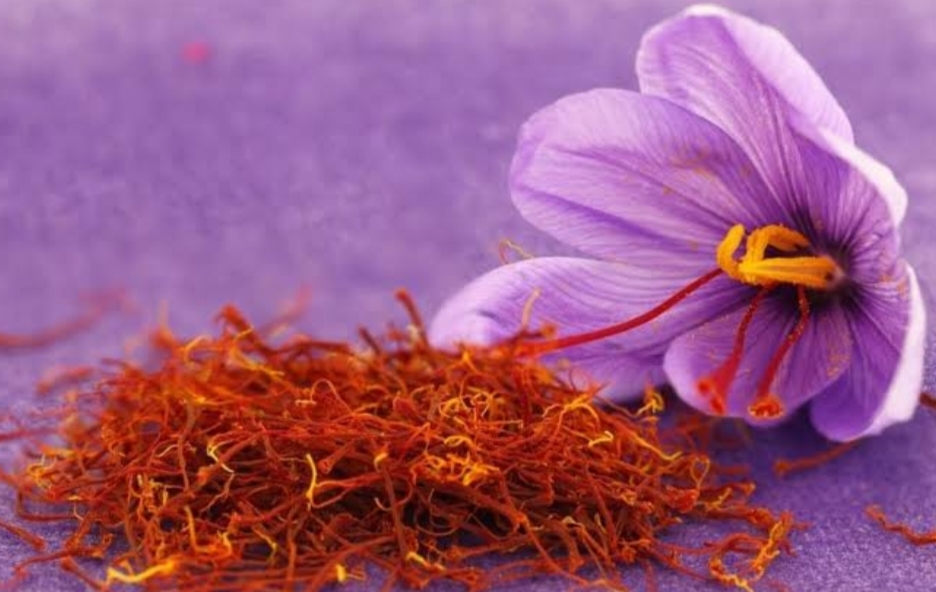 Wow! 1 Kilogram Saffron Seharga Satu Mobil Avanza, Berikut 12 Manfaat Putik Bunga Ajaib Ini untuk Kesehatan