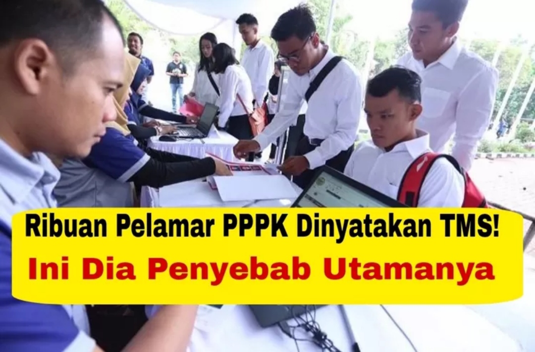 Ribuan Honorer Pendaftar PPPK 2024 TMS, Kok Bisa! 