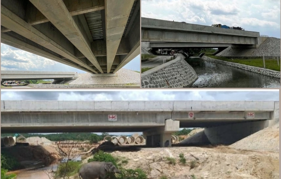 10 Underpass Perlintasan Hewan di Jalan Tol Trans Sumatera, Komitmen Inisiatif Berkelanjutan