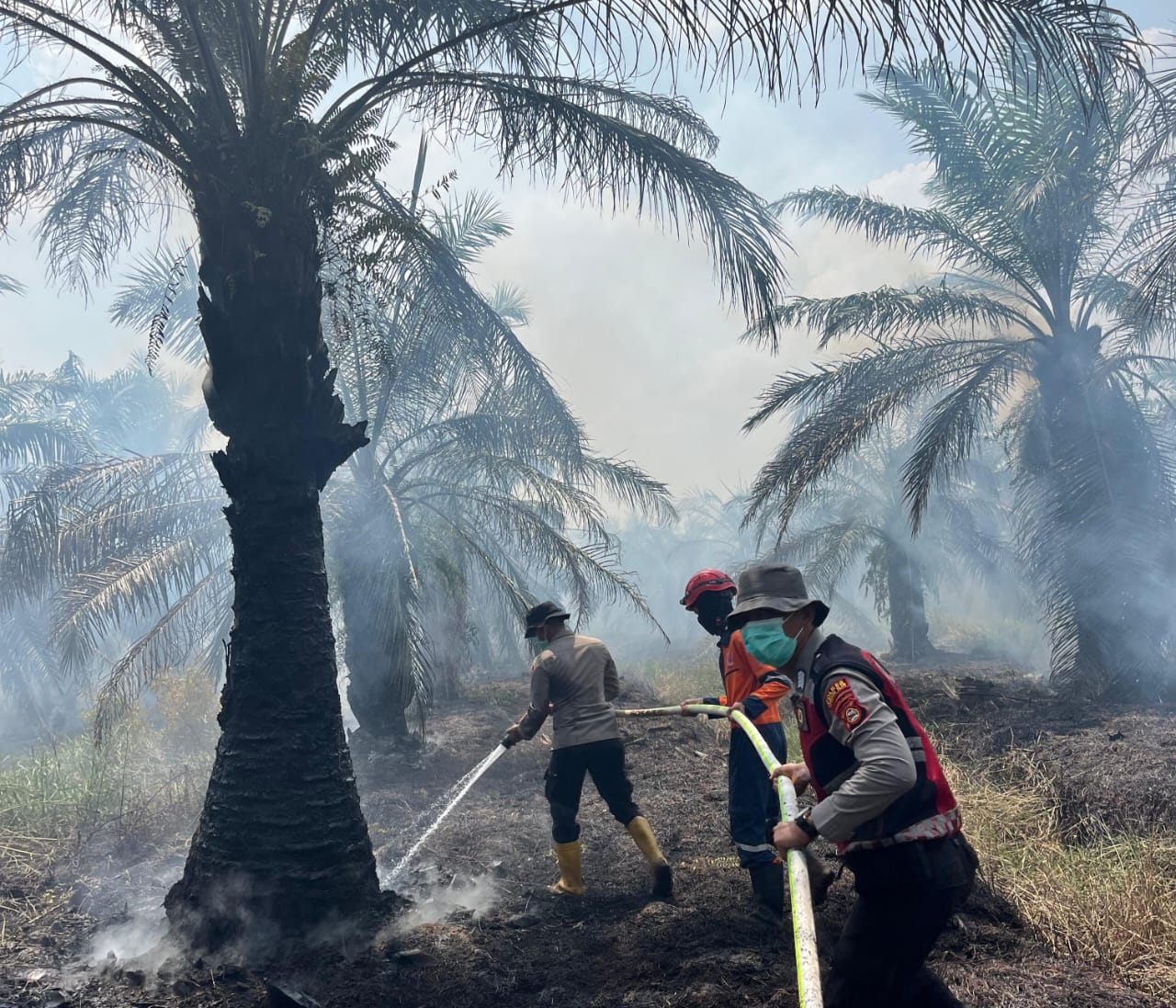 2 Hektare Lahan Gambut yang Terbakar di Desa Parit, Berhasil Dipadamkan Personel Gabungan Polres Ogan Ilir