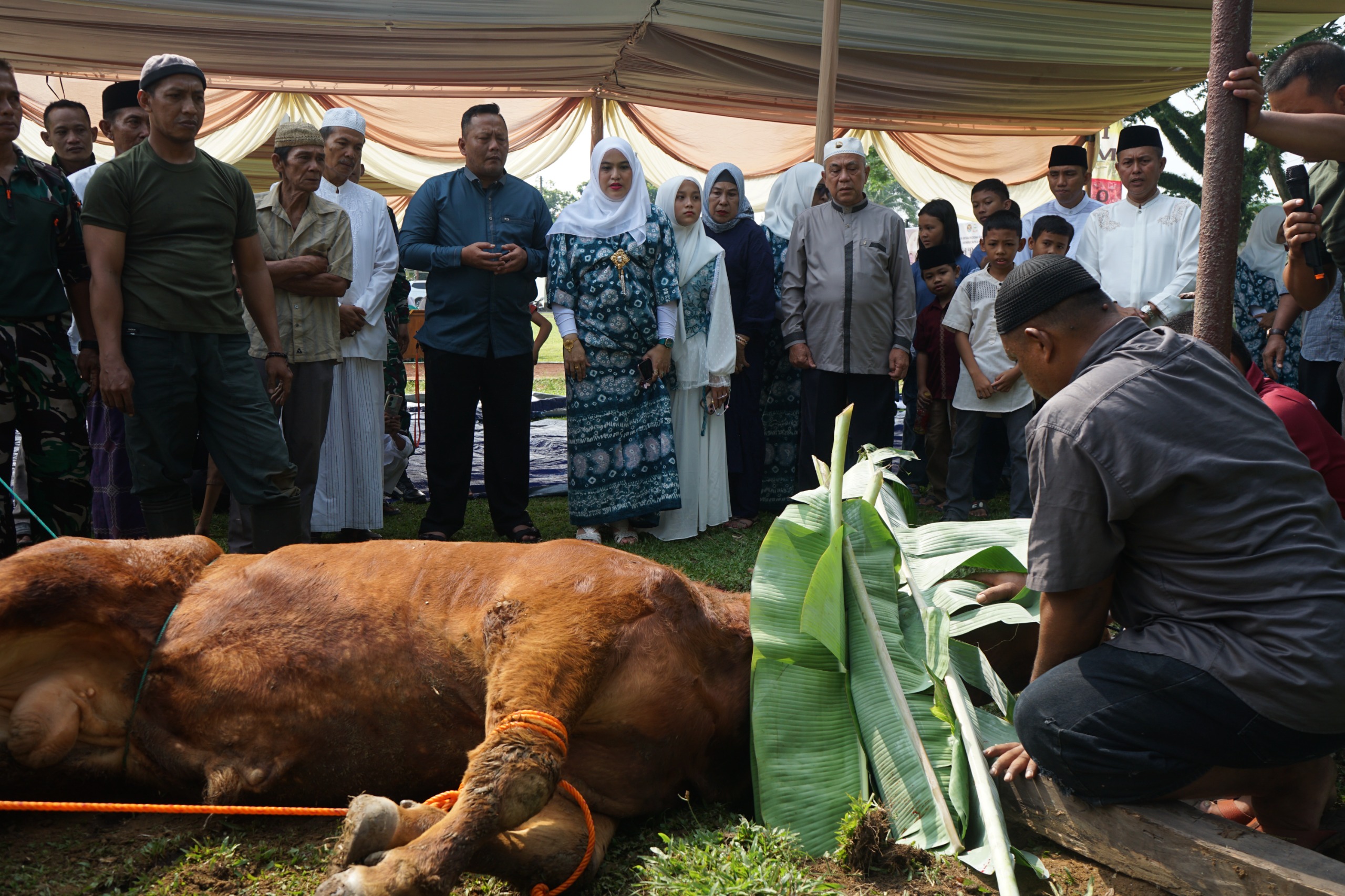 Kodim 0402/OKI Kurban 5 Ekor Sapi dan 8 Ekor Kambing Dibagikan ke Masyarakat