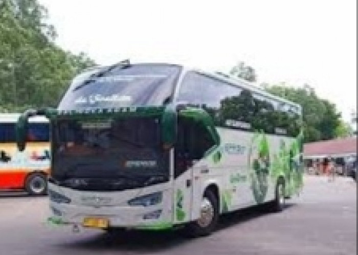 Fasiltas Canggih, Nikmati Perjalanan Palembang-Padang dan Palembang - Bandung Dengan PO Bus Epa Star