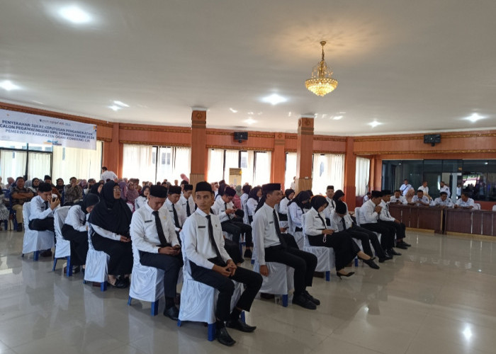 Pembukaan CPNS 2025 Kabupaten OKI Tunggu Petujuk Pusat