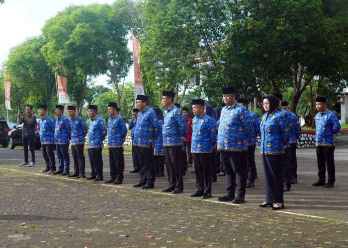 PPPK dan ASN Baru Banyuasin Bisa Dapat Gaji ke-13, Asal Penuhi Syarat Ini