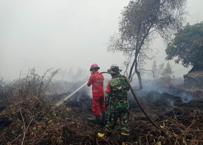 Lahan 10 Hektar di Pulau Beruang Tulung Selapan Terbakar Dipadamkan TNI dan Tim Gabungan 