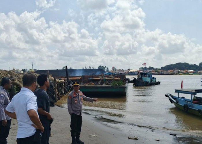 Warga Bandung Jadi Korban Keganasan Buaya Muara di Banyuasin