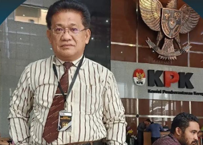 Advokat Senior Ghandi Arius Minta Alnaura Selebgram Palembang Nyerah Saja, Sampai Kapan Mau Menghindari Hukum?