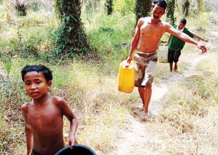 Suku Anak Dalam Konon Keturunan Laskar Kerajaan Jambi dan Kesultanan Palembang, Paska Perang Menetap di Hutan