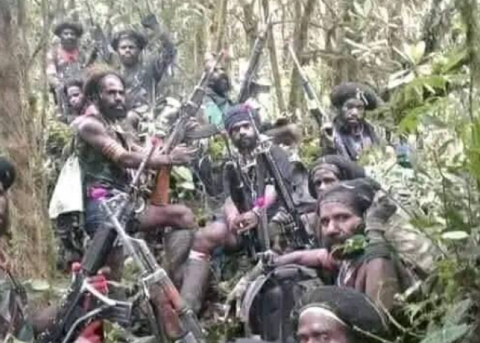 WASPADA! KKB Papua Punya Kekuatan Baru, Rebut 5 Senjata Milik TNI, Bakal Perang Terbuka? 