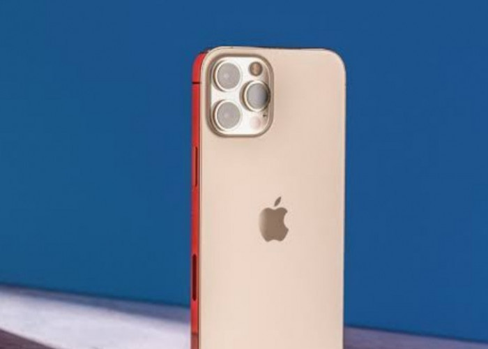 iPhone 11 dan 12 di iBox Turun Hampir Setengah Harga, Kok Bisa? 