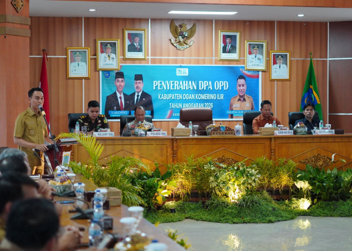 DPA 2026 Fokus Anggaran Prioritas, Realisasi Digas