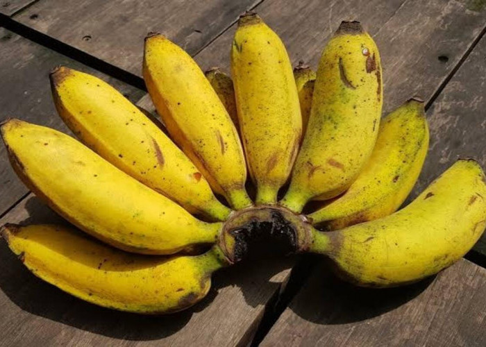 Mengenal Manfaat Buah Pisang untuk Kesehatan, dari Sumber Energi hingga Menjaga Pencernaan