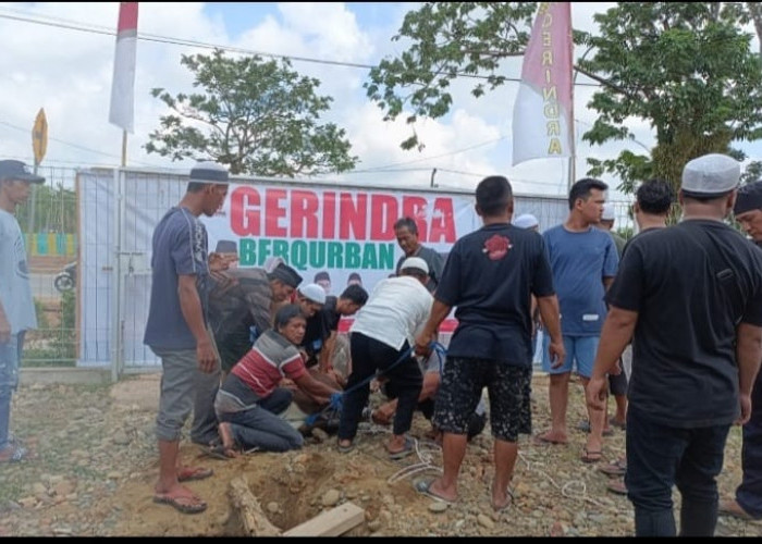 DPD Partai Gerindra Sumatera Selatan Kurban 8 Ekor Sapi