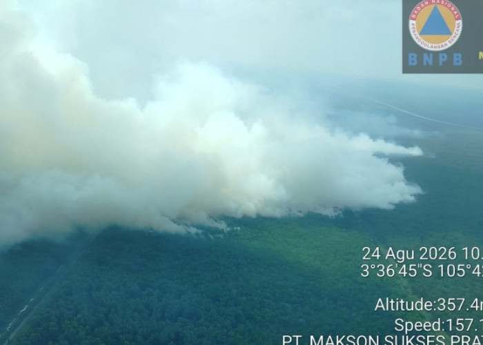 Lahan di 6 Kecamatan OKI Terbakar, 8 Hektar di Cengal dan Pinggiran Ruas Tol Kayuagung