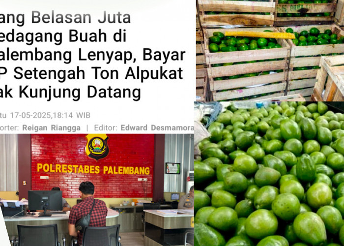 Bukan Tertipu, Korban Beli Buah Alpukat Setengah Ton Tak Kunjung Datang Sudah Sering Pesan Sama Terlapor