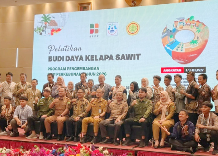 Sawit Rakyat Digenjot Naik Kelas, 165 Pekebun Ikuti Pelatihan Menuju Produktivitas Tinggi dan Sertifikat ISPO