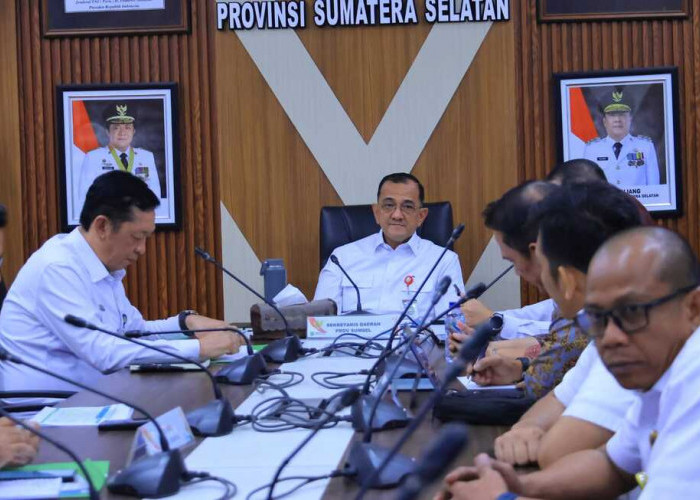 Potensi Lahan Capai 66 Ribu Hektare, Pemprov Sumsel Siap Dukung Ekstensifikasi Sawit Nasional