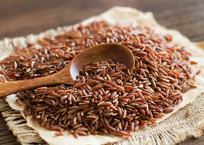 Manfaat Konsumsi Nasi Merah untuk Menurunkan Kolesterol