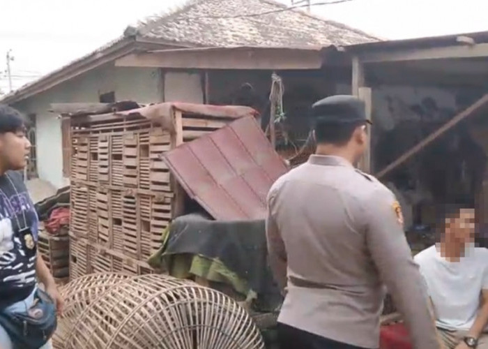 Arena Judi Sabung Ayam Gandus Digerebek Polisi, Terungkap Sudah 5 Tahun Beroperasi 