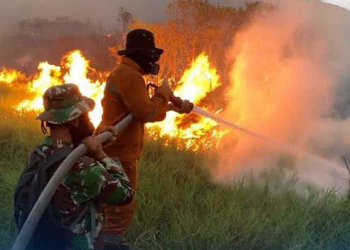 Kejati Sumsel Terima 11 SPDP Kasus Kebakaran Lahan dan Hutan, Semua Tersangka Perorangan Belum Ada Korporasi