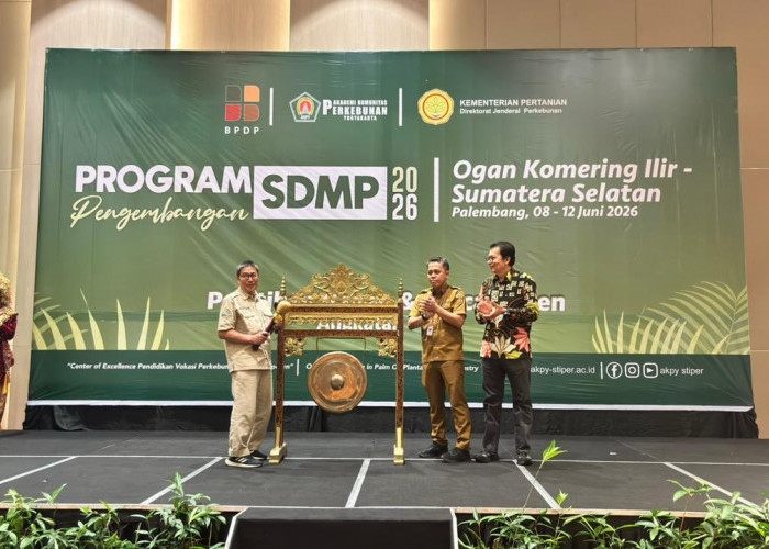 Kolaborasi BPDP, Ditjenbun dan AKPY Tingkatkan Produktivitas dan Pendapatan Pekebun Sawit OKI