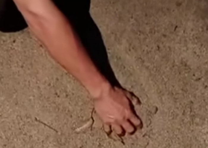 Pembangunan Jalan Lingkar Paya Agung Disoal