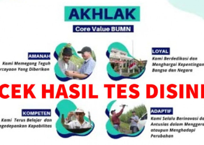 Apakah Kamu Lolos? Cek Hasil tes TKD dan AKHLAK Rekrutmen Bersama BUMN Batch 2 Disini