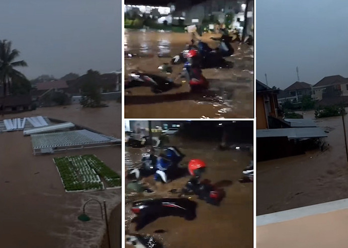 Banjir Besar Landa Bandar Lampung, Tim Gabungan Selamatkan Warga yang Masih Terjebak di Rumah  