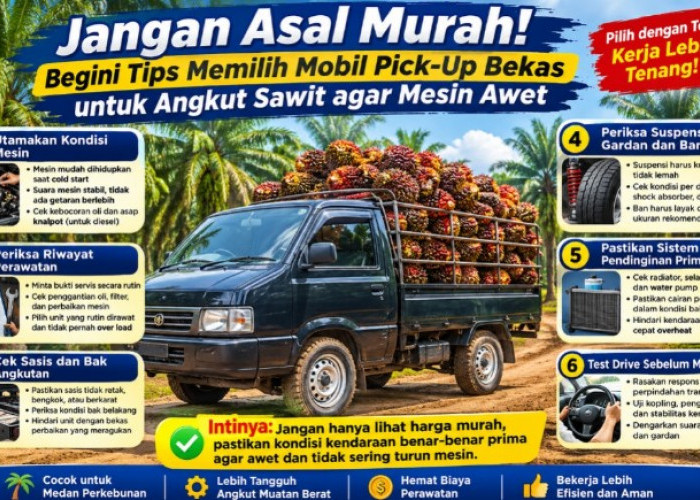 Jangan Asal Murah! Begini Tips Memilih Mobil Pick-Up Bekas untuk Angkut Sawit agar Mesin Awet
