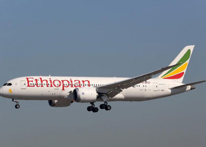 Pilot Berstatus WNI, Israel Tolak Pesawat Kargo Etiopia Mendarat