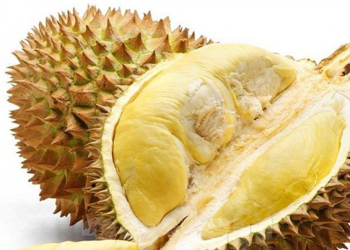    Apakah Ibu Hamil Boleh Makan Durian? Cek Faktanya Disini!
