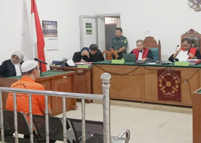 Pasutri Live Tiktok Adu Ikan Cupang Divonis Penjara, Raup Cuan Hingga Rp20 Juta dari Komisi Taruhan
