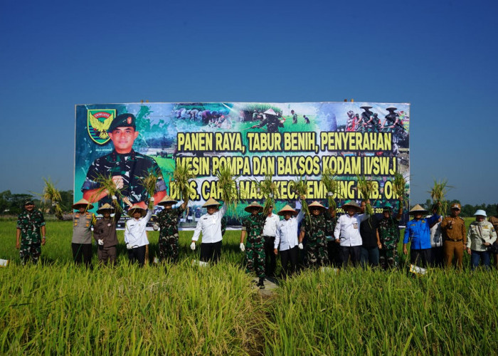 Pangdam II/Sriwijaya Ikut Panen Raya Padi di Desa Cahaya Maju OKI, Sukseskan Swasembada Pangan