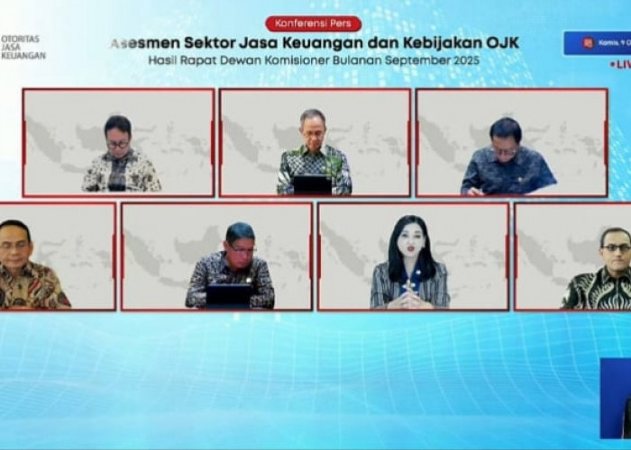 Hadapi Tantangan Eknomi Global, OJK: Sektor Jasa Keuangan Masih Stabil 