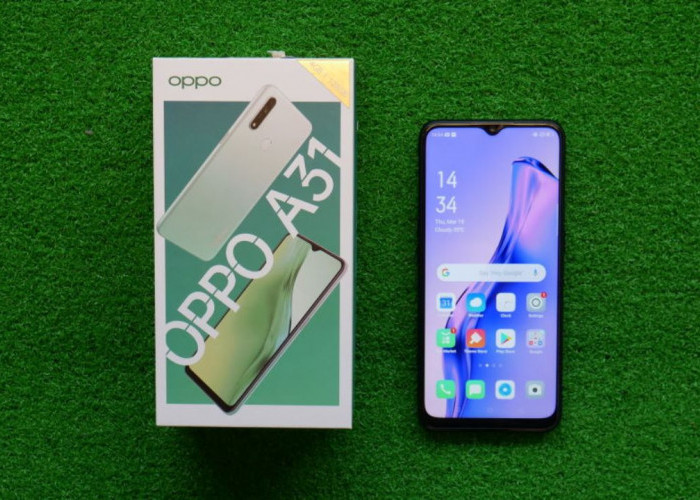 Review OPPO A31: HP Lawas yang Miliki Sistem Kamera Triple,Tangguh, Harga Terjangkau!