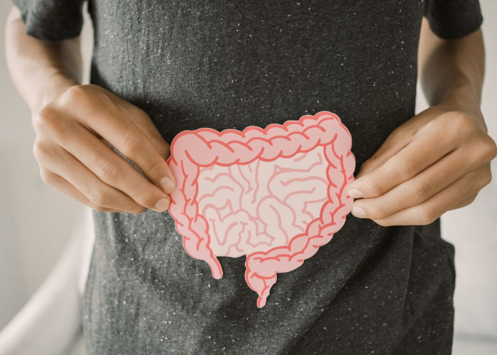 5 Makanan Sehat untuk Usus: Tingkatkan Imunitas dan Bersihkan Pencernaan