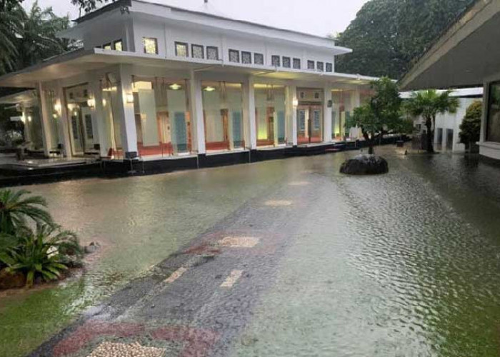 Paspampres Hampir Kecolongan, Perempuan Bersenpi Terobos Istana