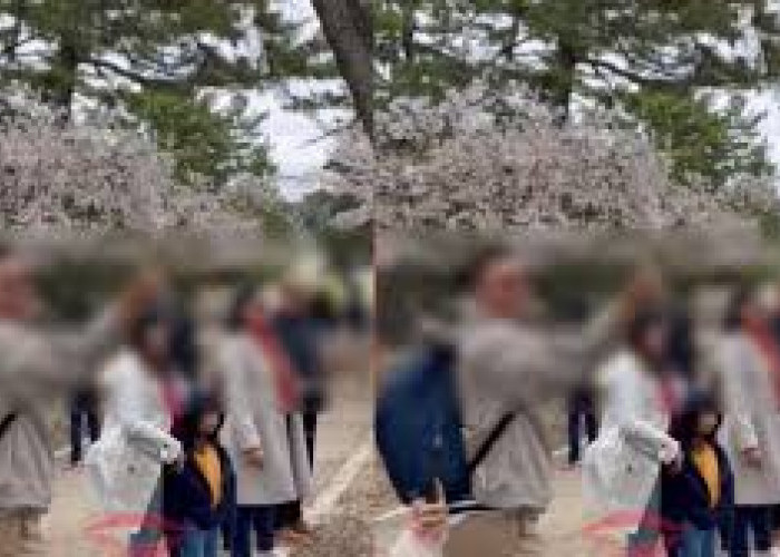 Turis Indonesia Kedapatan Rontokkan Bunga Sakura di Jepang, Disemprot Warganet : Gak Ada Otak!
