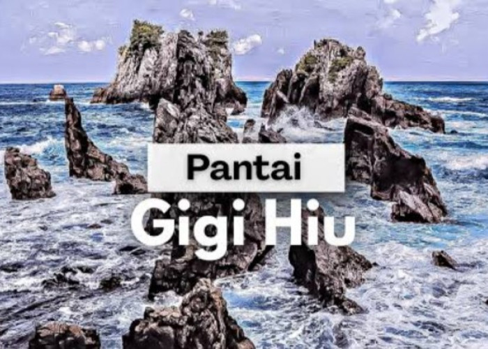 Ini Ternyata 6 Alasan Pantai Gigi Hiu Lampung Jadi Primadona Destinasi Wajib bagi Fotografer Profesional Dunia