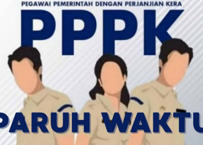 Jabatan Ini Disini Tenaga Honorer Terdata Database BKN, Pengangkatan PPPK Paruh Waktu Berakhir 2025