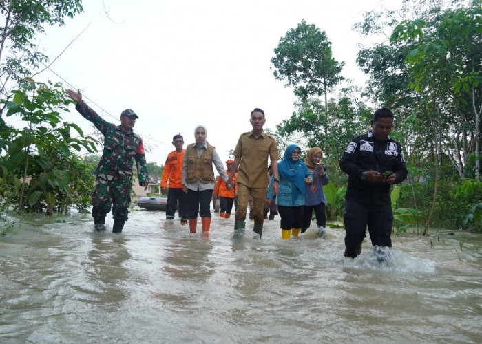 Pulihkan Sawah Terdampak Banjir, Bupati OKI Salurkan 142 Ribu Benih Padi