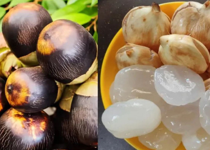Jangan Salah Pilih! Ini 7 Cara Memilih Buah Lontar yang Kenyal dan Segar