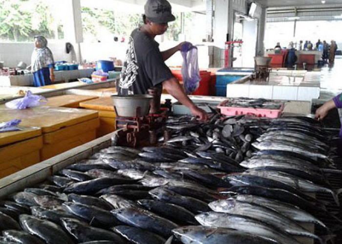 Viral! Penjual Ikan Temukan Kaleng Soda dalam Perut Ikan Kod