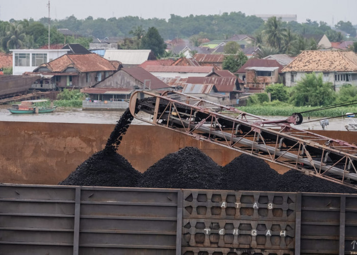 PTBA Jaga Kinerja dan Perkuat Portofolio Bisnis, Cetak Pendapatan Rp 22,03T di Semester I 2026