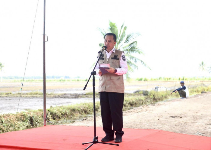 Pj Gubernur Sumsel : Produktivitas Padi Sumatera Selatan Tertinggi Di Sumatera dan ke-4 Secara Nasional