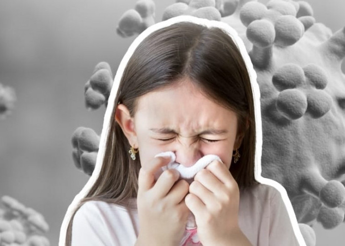 Kasus Influenza Naik, Kemenkes Ingatkan Warga Jangan Borong Oseltamivir